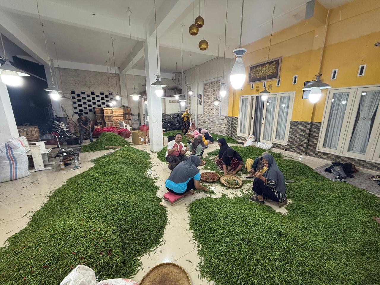 Petani Muda Nusa Tenggara Barat