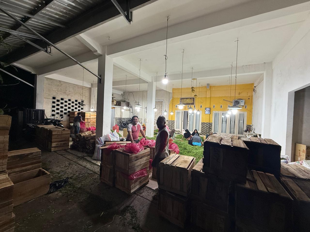 Petani Muda Nusa Tenggara Barat