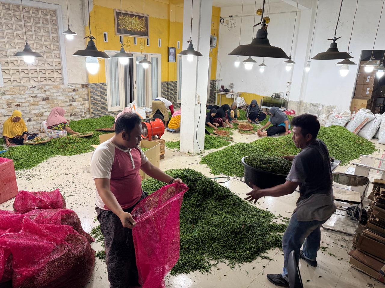 Petani Muda Nusa Tenggara Barat