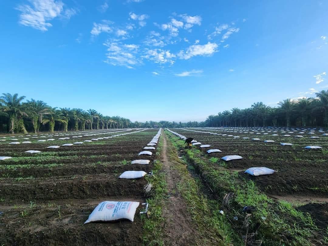 Petani Muda Bengkulu