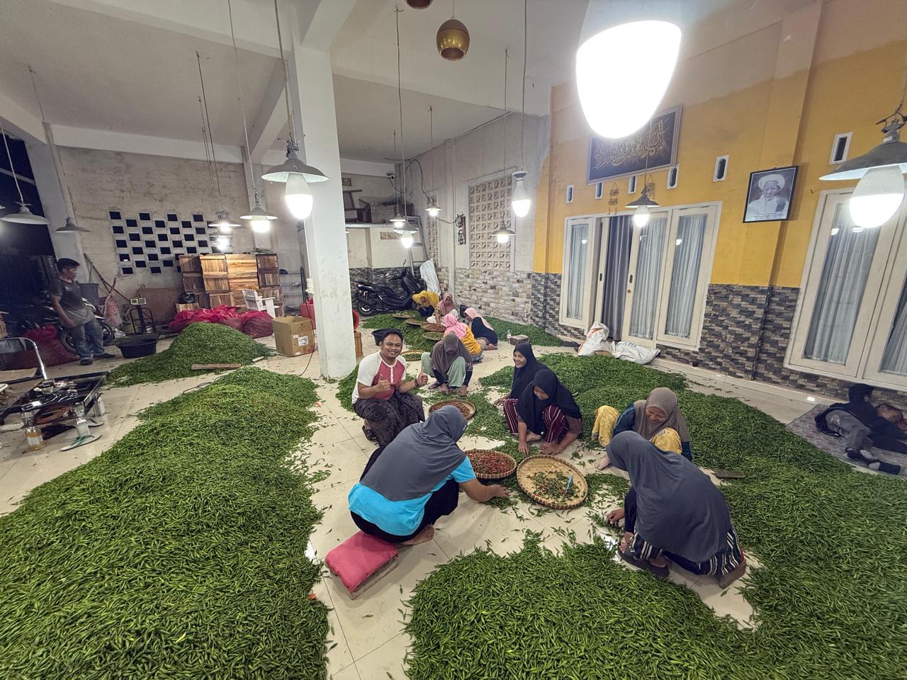 Petani Muda Nusa Tenggara Barat