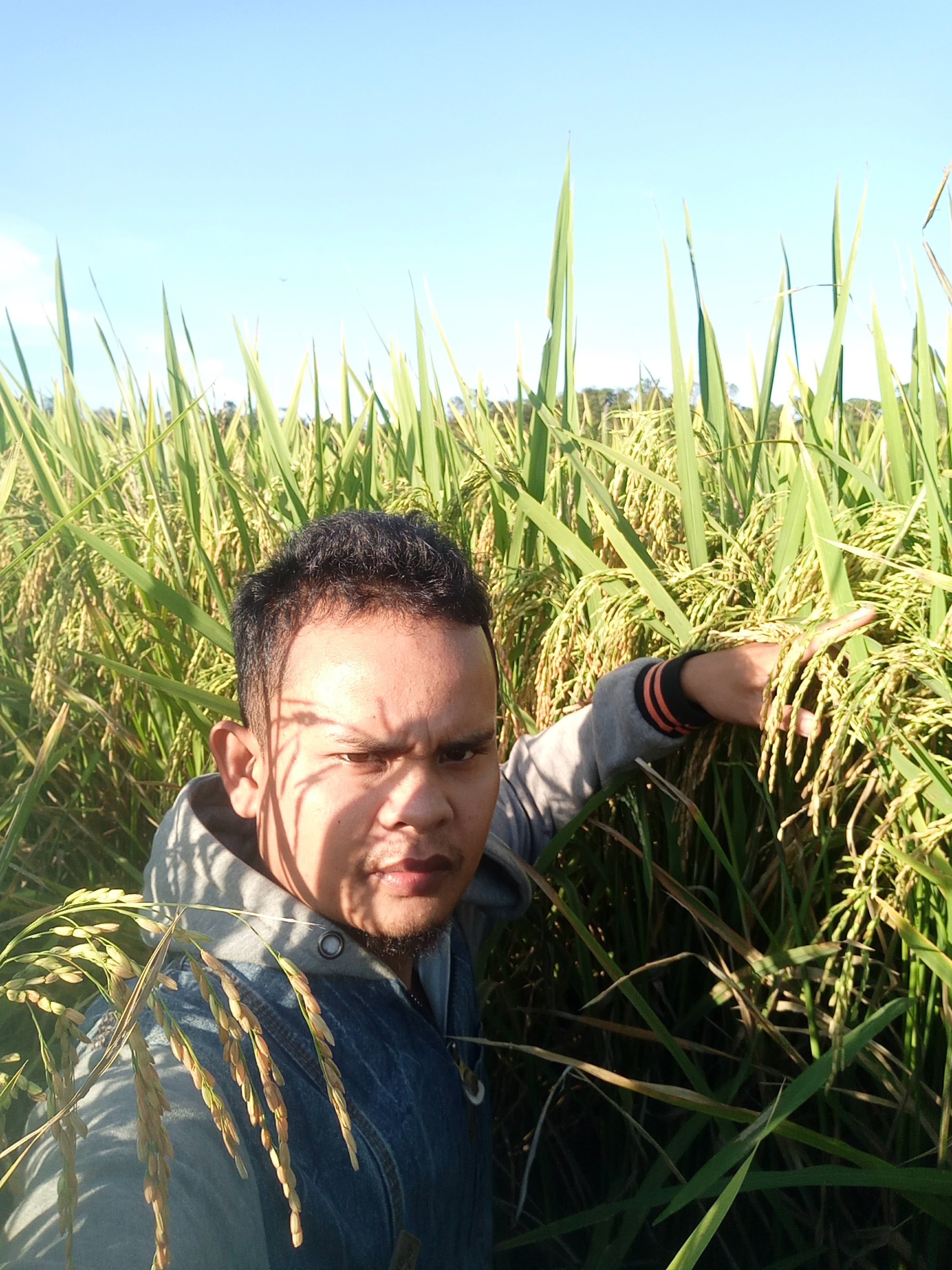 Petani Muda Kalimantan Utara