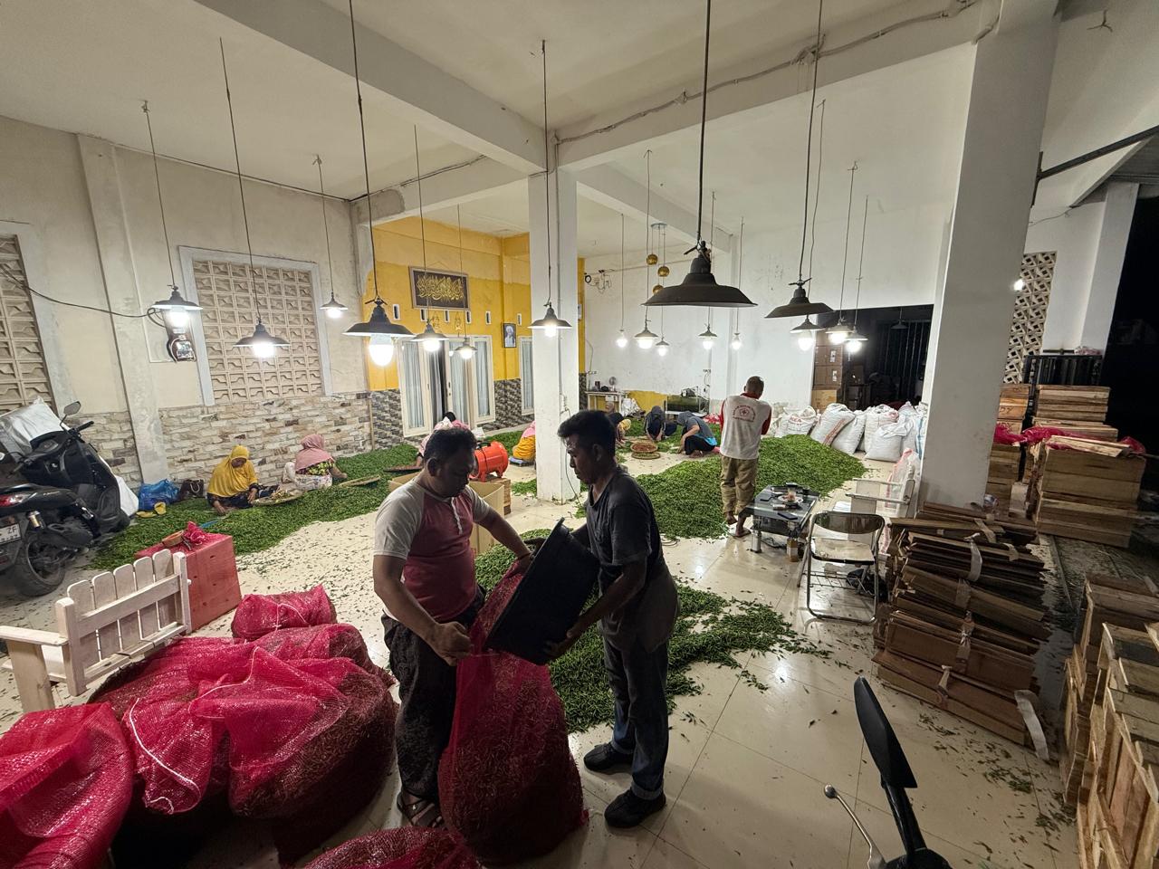Petani Muda Nusa Tenggara Barat