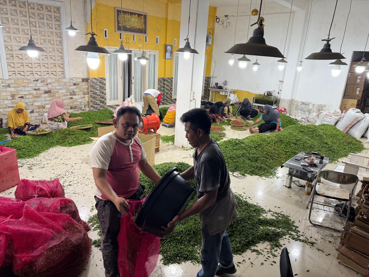 Petani Muda Nusa Tenggara Barat