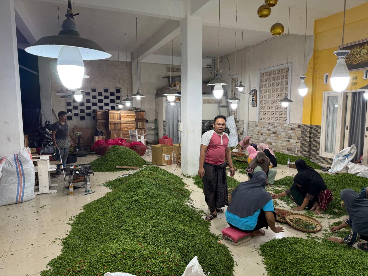 Petani Muda Nusa Tenggara Barat