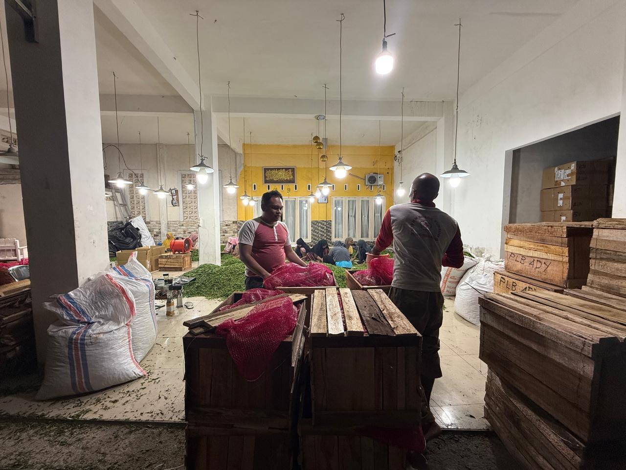 Petani Muda Nusa Tenggara Barat