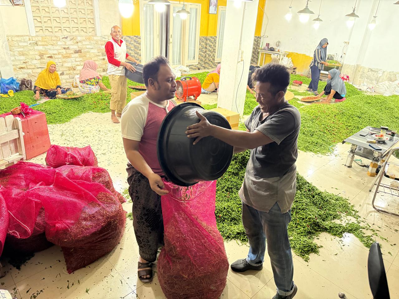 Petani Muda Nusa Tenggara Barat