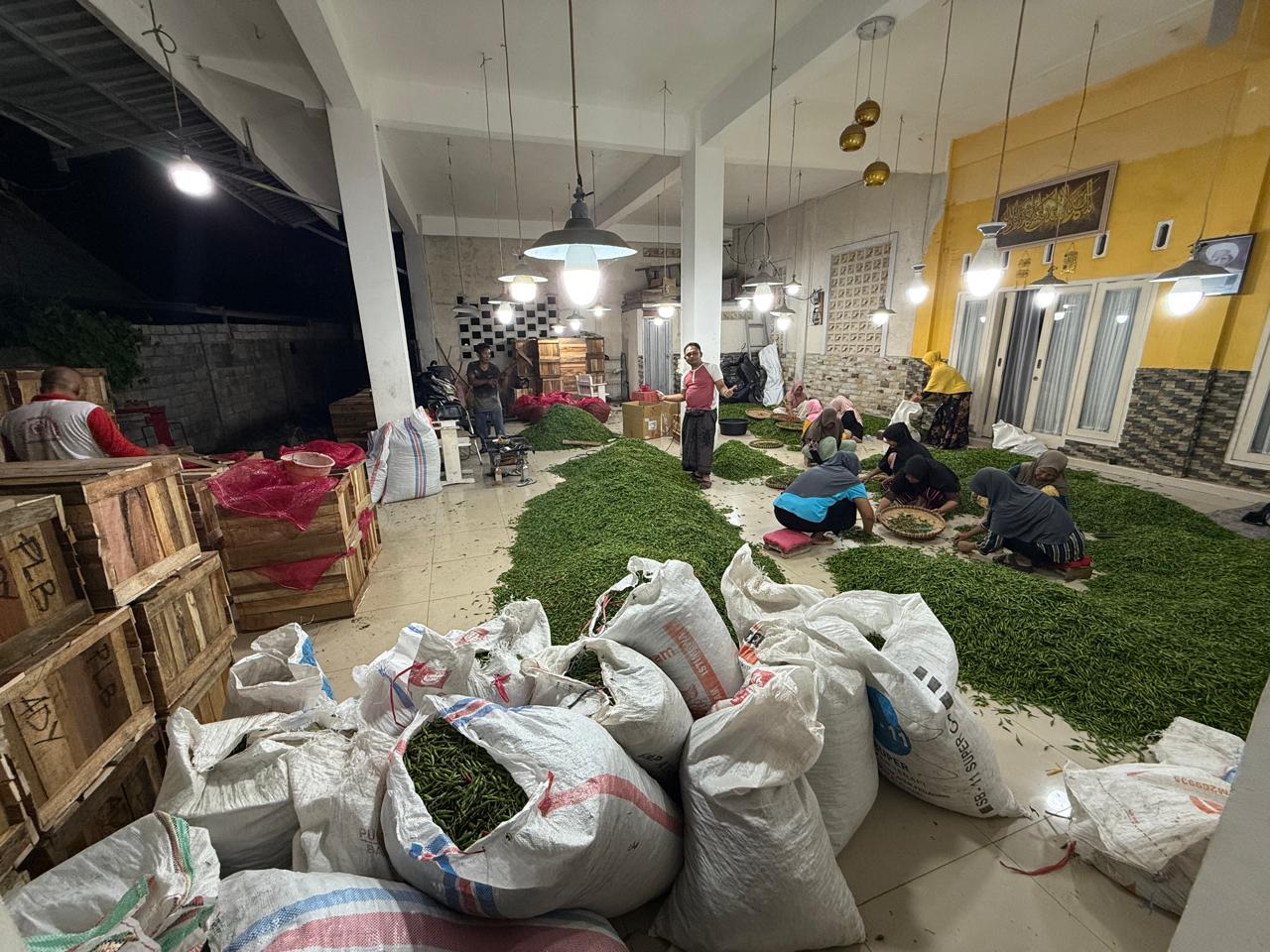 Petani Muda Nusa Tenggara Barat